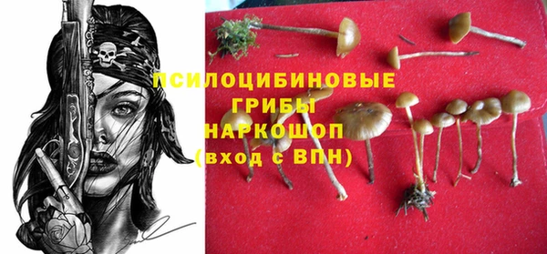 мет Аркадак