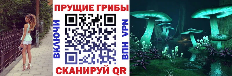 Галлюциногенные грибы прущие грибы omg tor Красково