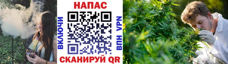 Конопля SATIVA & INDICA  купить наркотики сайты  Красково 